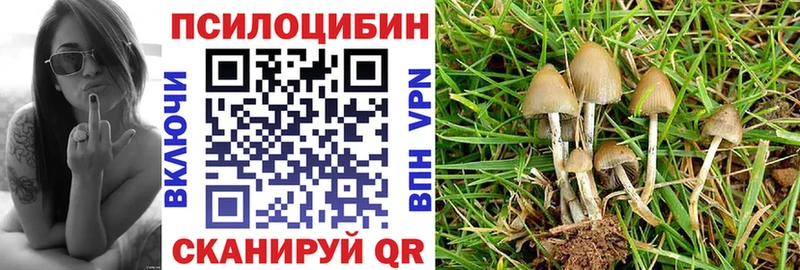 Псилоцибиновые грибы мухоморы  Зеленогорск 