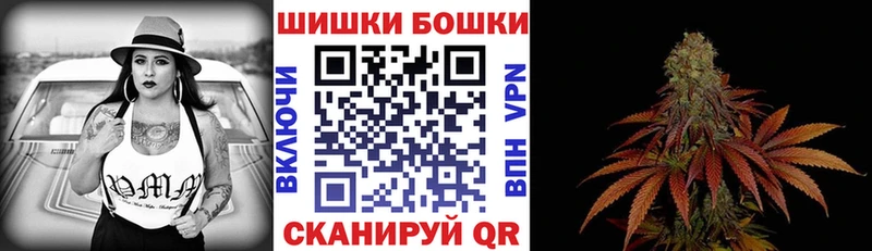 МЕГА ТОР  Зеленогорск  Конопля сатива  наркотики 